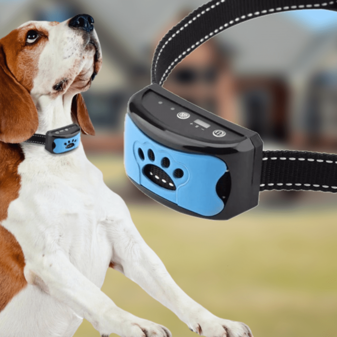 Anti-blaf Halsband voor Honden met Geluid en Vibratie Zonder Schok USB Oplaadbaar