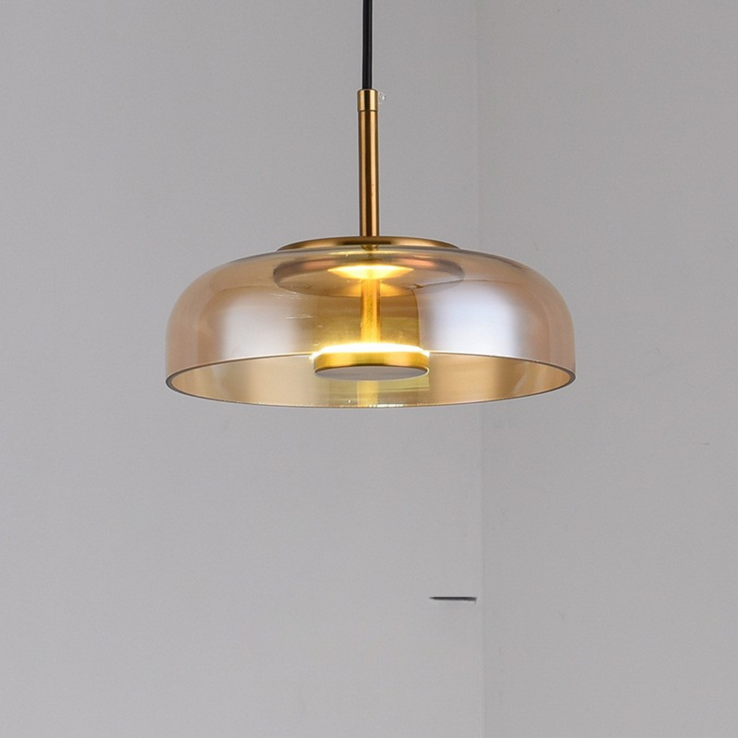 Hanglamp Modern met Glazen Kap en Verstelbare Hoogte