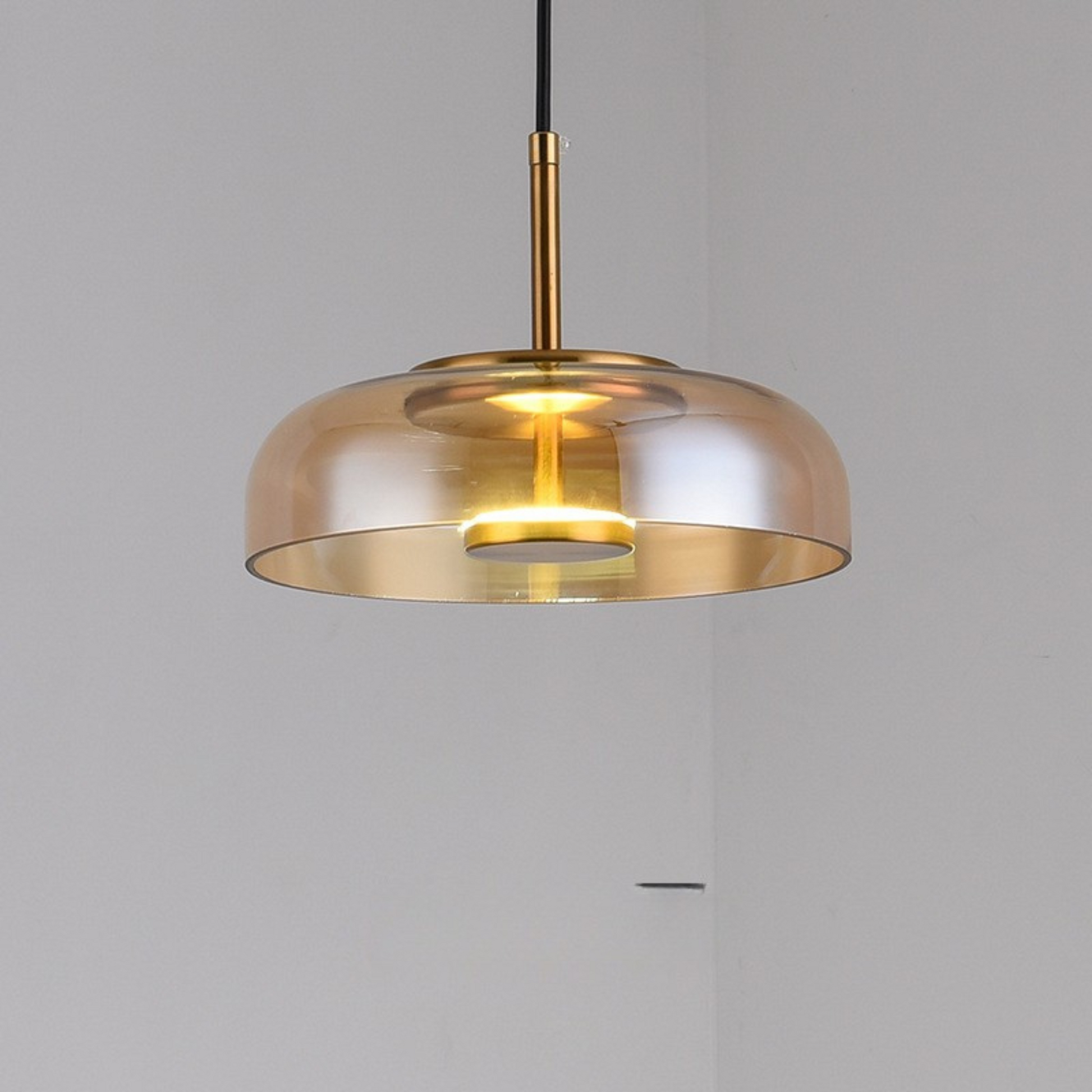 Hanglamp Modern met Glazen Kap en Verstelbare Hoogte