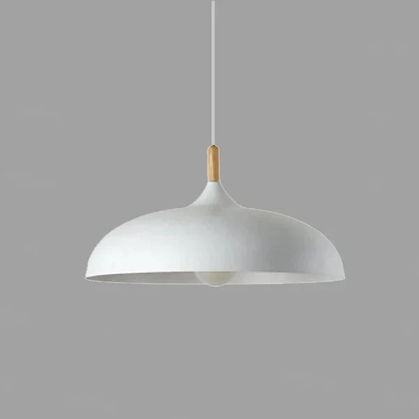 Hanglamp Scandinavisch met Houten Detail en Koepelkap
