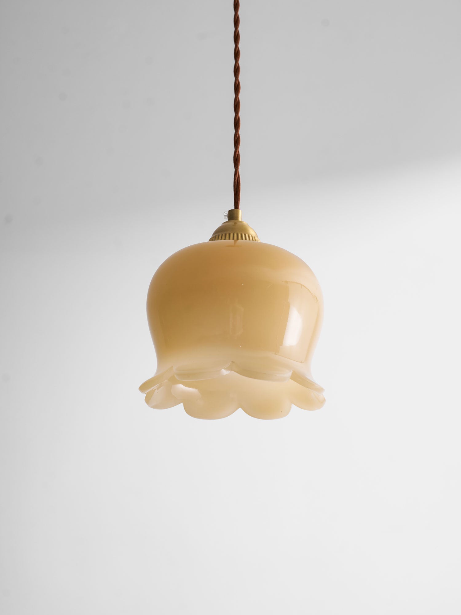 Hanglamp Vintage met Bloemvormige Glazen Kap en Messing Fitting