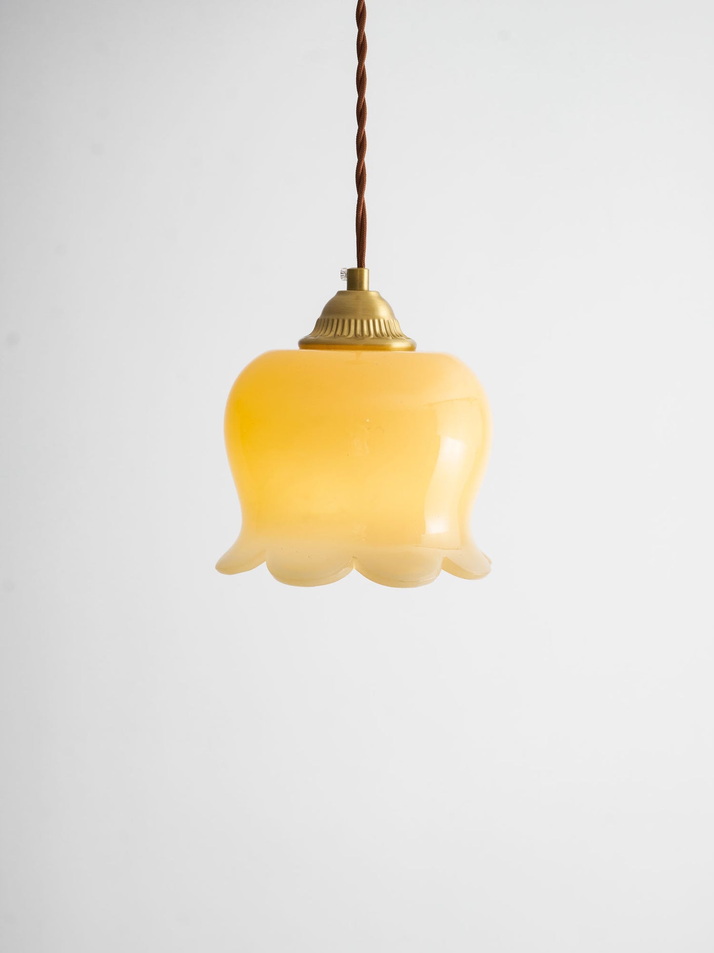 Hanglamp Vintage met Bloemvormige Glazen Kap en Messing Fitting