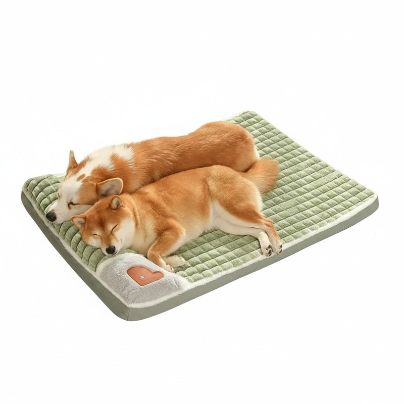 Honden- en Kattenmand met Afneembare Wasbare Hoes en Gevoerde Bodem