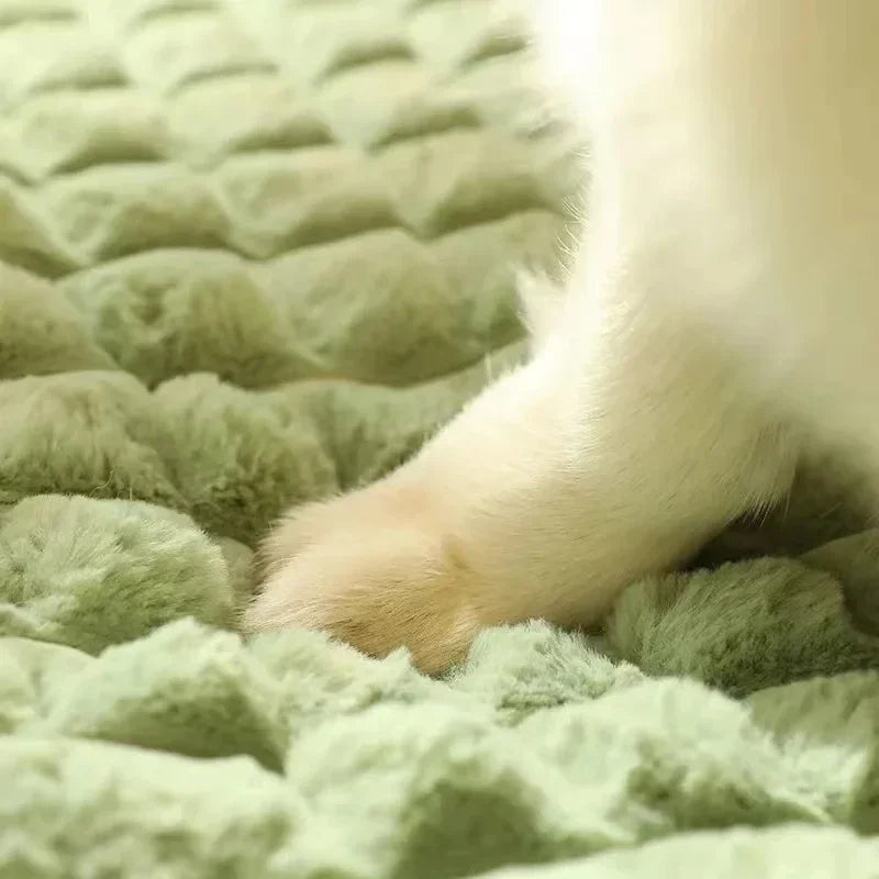 Honden- en Kattenmand met Afneembare Wasbare Hoes en Gevoerde Bodem