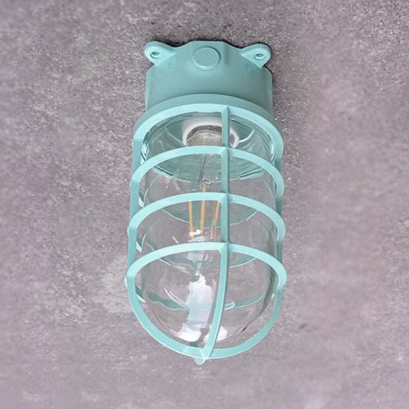 Plafondlamp Industrieel met Kooikapje en Glasbol voor Binnen en Buiten