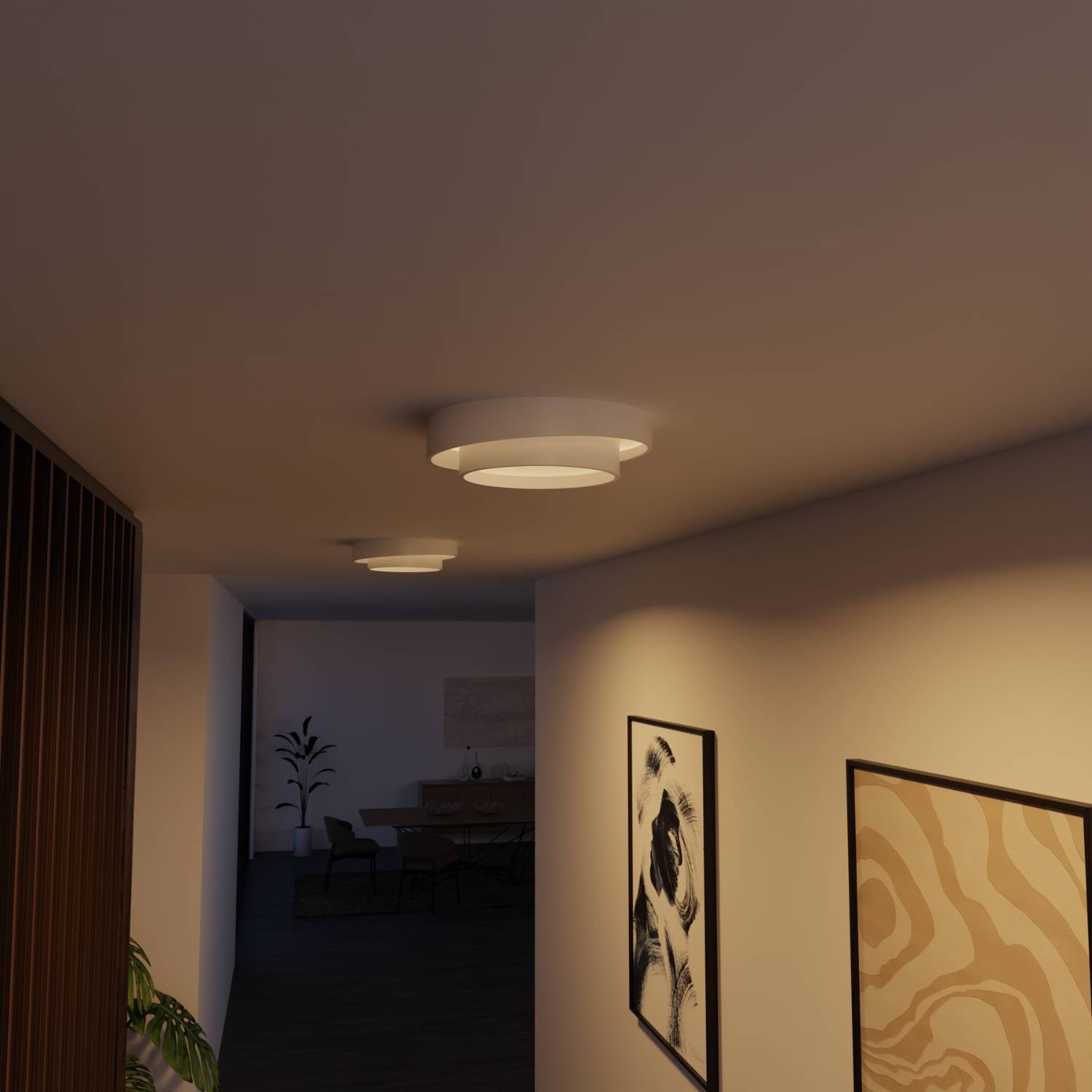 Plafondlamp Minimalistisch met Dubbele Ring en Geïntegreerde LED