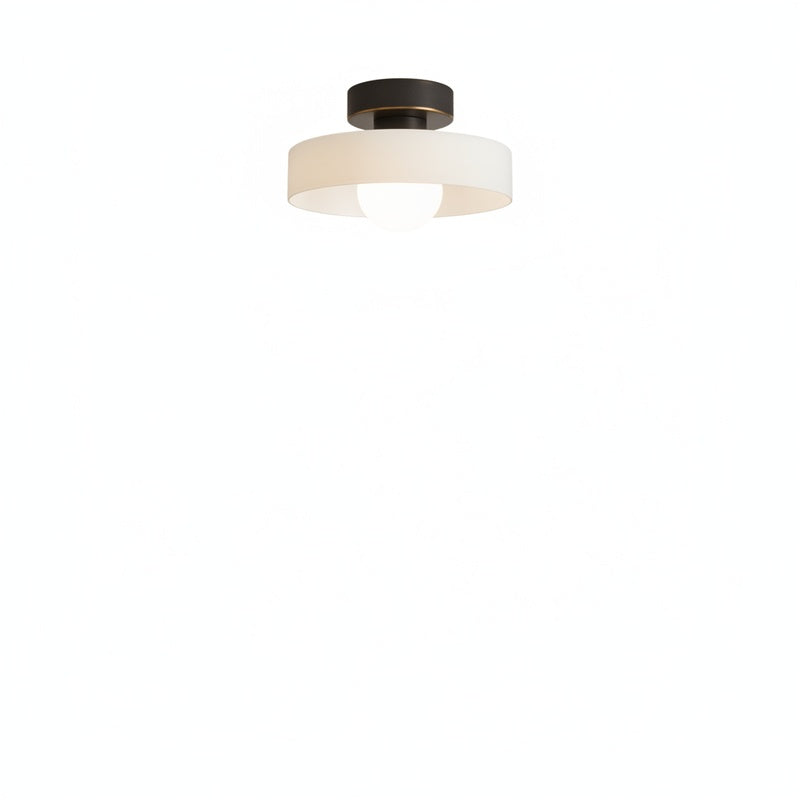Plafondlamp Minimalistisch met Ronde Kap en Glazen Bol