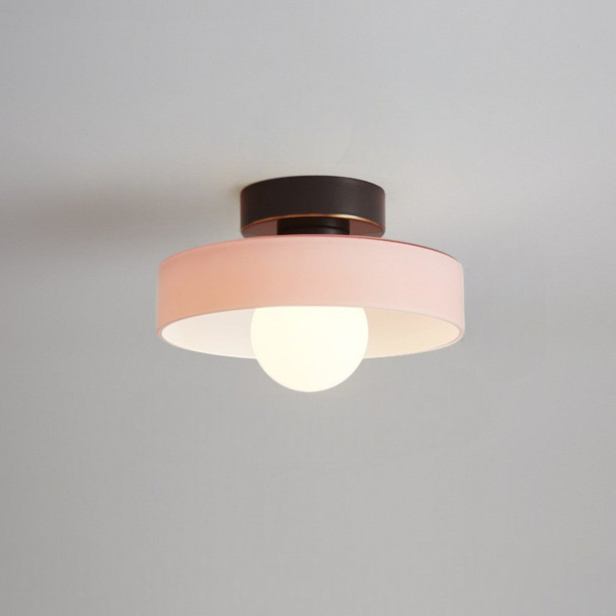 Plafondlamp Minimalistisch met Ronde Kap en Glazen Bol