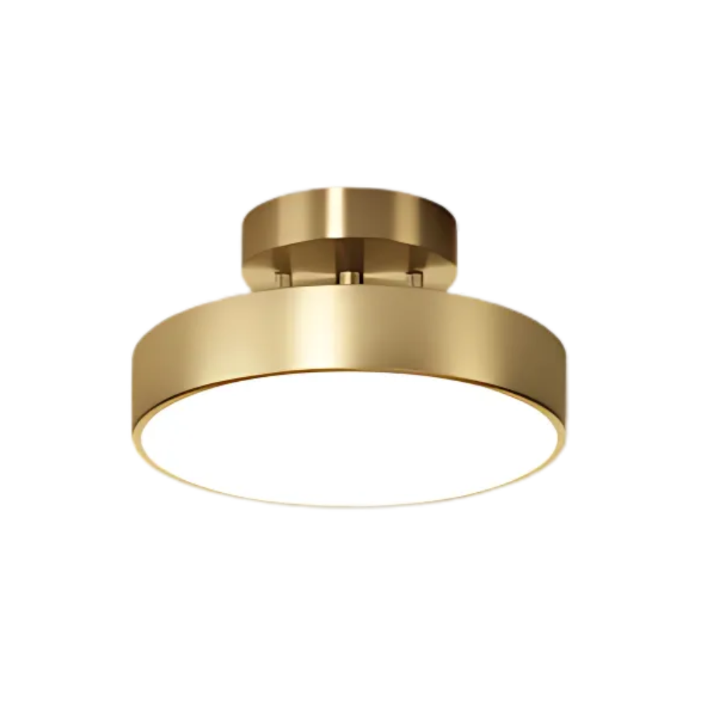 Plafondlamp Modern Rond met Draaibare Kap en Geïntegreerde LED
