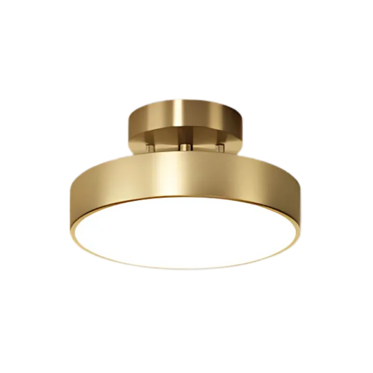 Plafondlamp Modern Rond met Draaibare Kap en Geïntegreerde LED