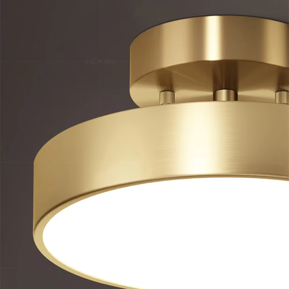 Plafondlamp Modern Rond met Draaibare Kap en Geïntegreerde LED