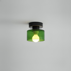 Zwart/Groen