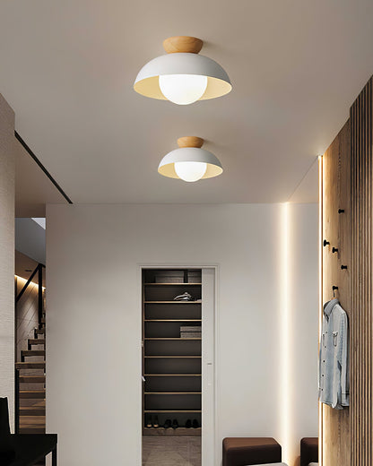 Plafondlamp Scandinavisch met Koepelkap en Glazen Bol, Ø30 cm
