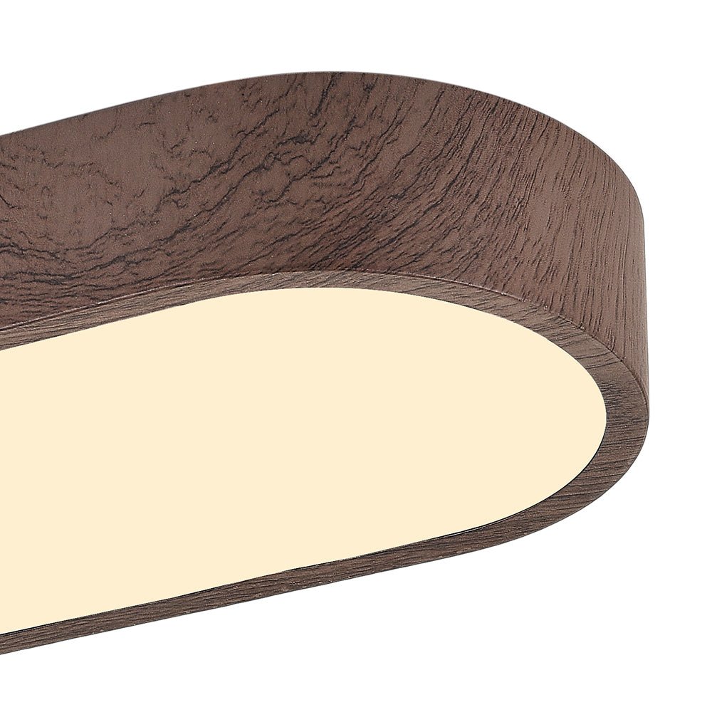 Plafondlamp Scandinavisch met Ovale Vorm en Driekleur LED