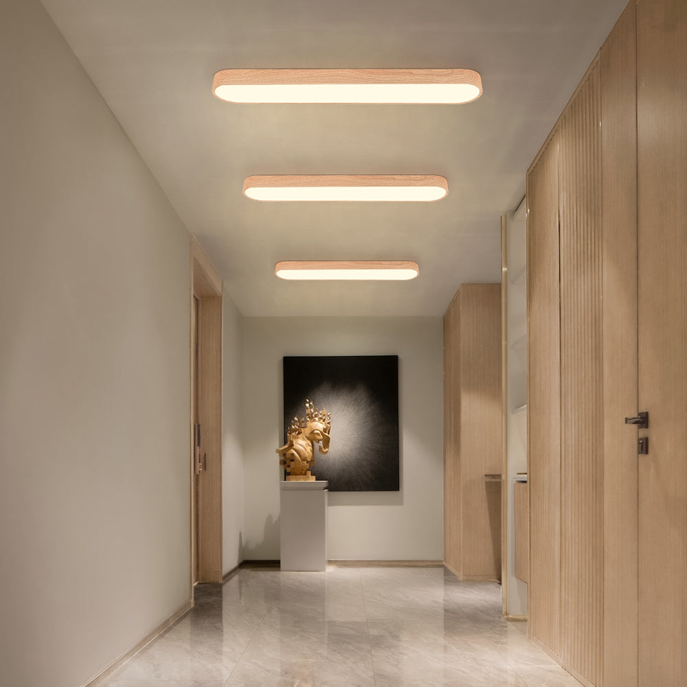 Plafondlamp Scandinavisch met Ovale Vorm en Driekleur LED