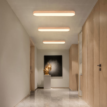 Plafondlamp Scandinavisch met Ovale Vorm en Driekleur LED