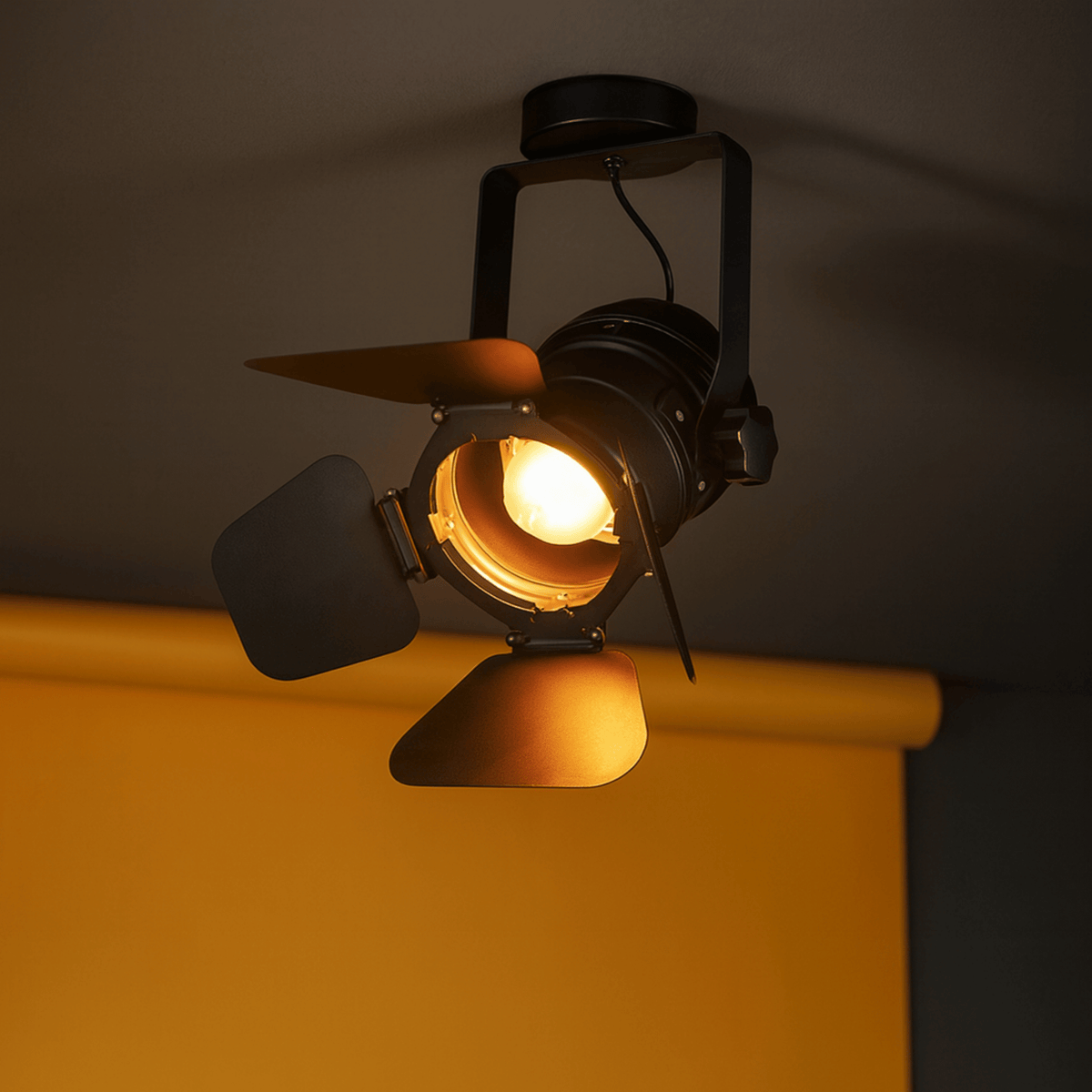 Plafondspot Industrieel Retro met Verstelbare Barn Doors en Kantelbaar Hoofd