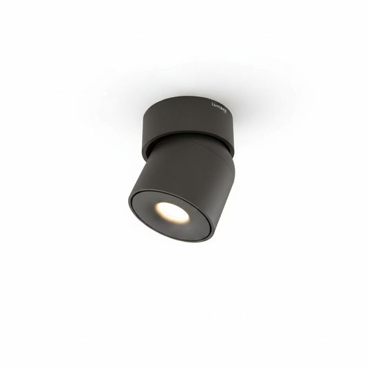 Plafondspot Minimalistisch met Draaibare Kop en Geïntegreerde LED