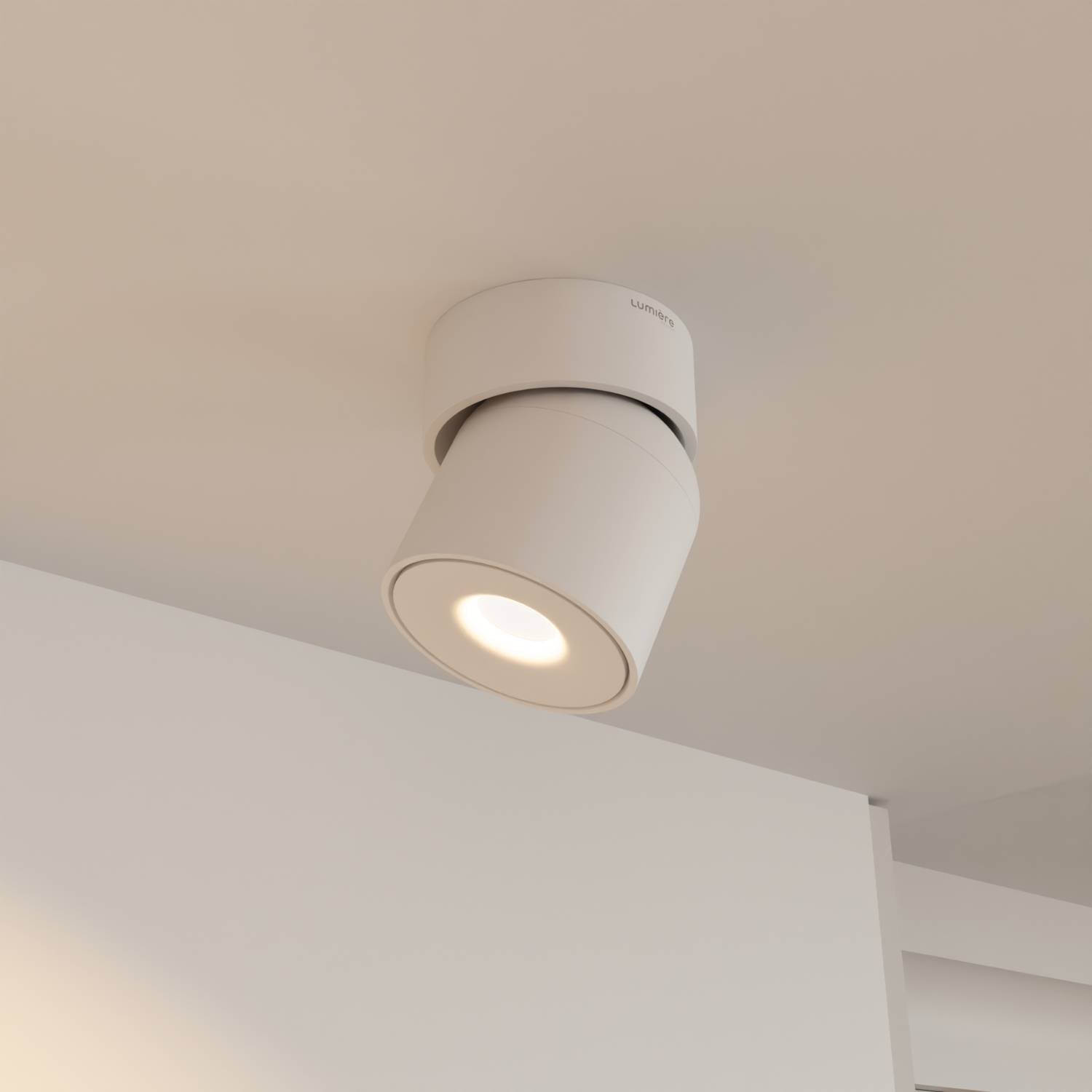 Plafondspot Minimalistisch met Draaibare Kop en Geïntegreerde LED