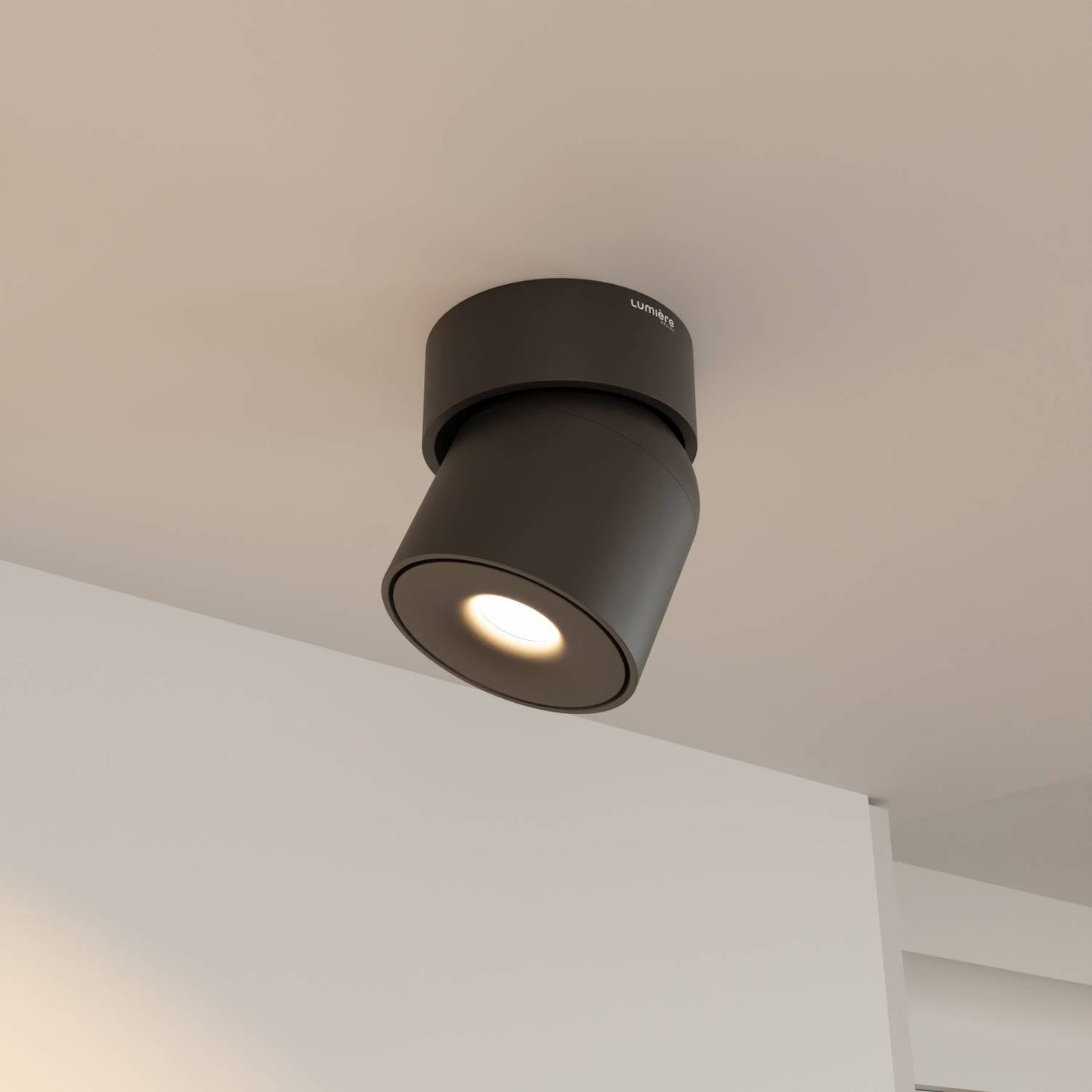 Plafondspot Minimalistisch met Draaibare Kop en Geïntegreerde LED
