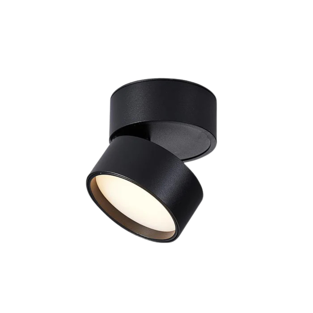 Plafondspot Minimalistisch met Draaibare Kop en Geïntegreerde LED