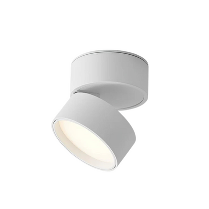 Plafondspot Minimalistisch met Draaibare Kop en Geïntegreerde LED