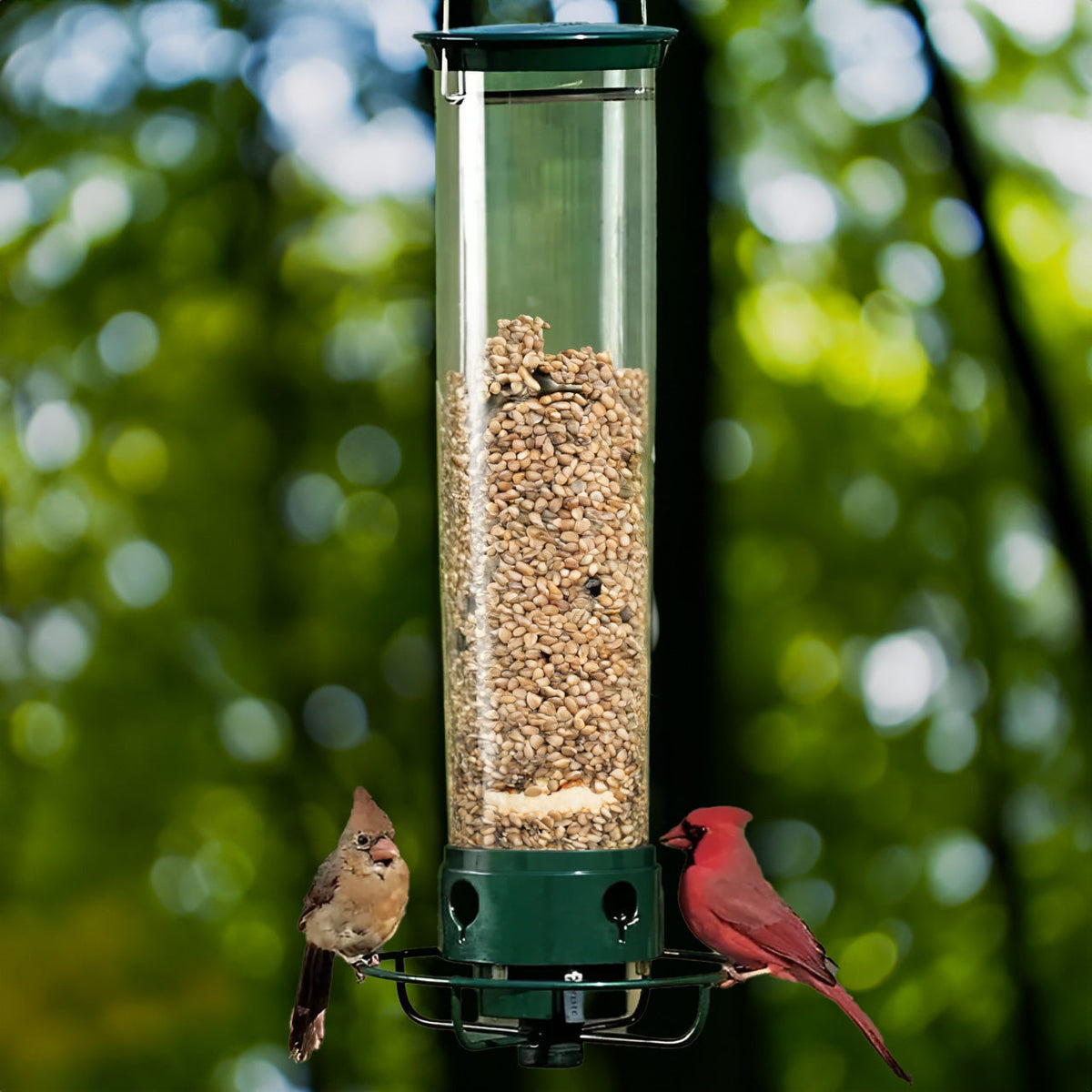Vogelvoederhuisje Eekhoorndicht met Draaiende Zitplaats en 4 Voederopeningen
