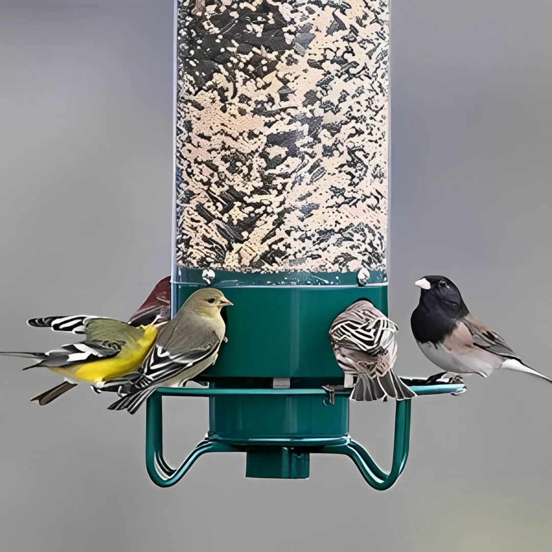 Vogelvoederhuisje Eekhoorndicht met Draaiende Zitplaats en 4 Voederopeningen