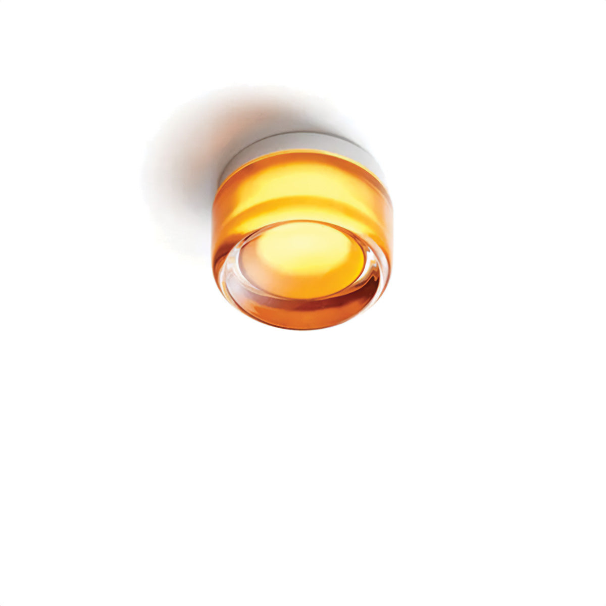 Wandlamp Plafondlamp Minimalist met Ronde Glazen Kap