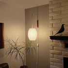 Wit/Walnoot hout